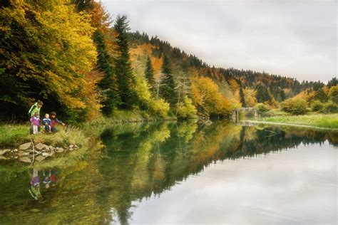 selva de irati verano|INICIO